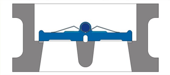 對夾雙瓣式止回閥結(jié)構(gòu)圖